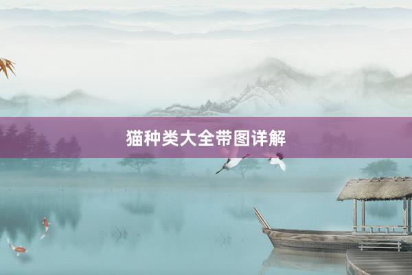 猫种类大全带图详解