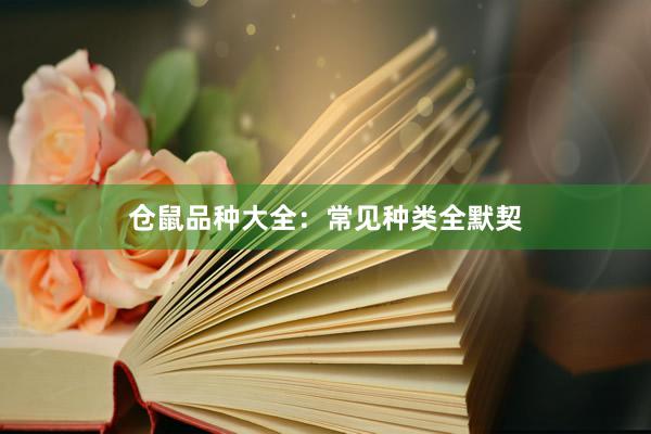 仓鼠品种大全：常见种类全默契